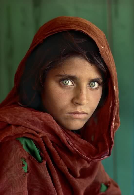 Afghan girl [1984] 