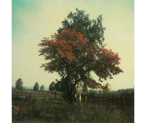 fotografia Polaroid por Andrei Tarkovsky