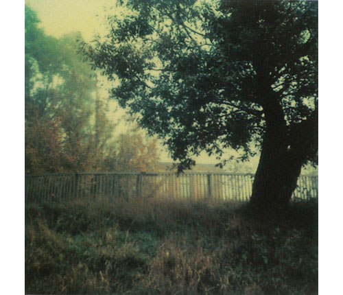 fotografia Polaroid por Andrei Tarkovsky