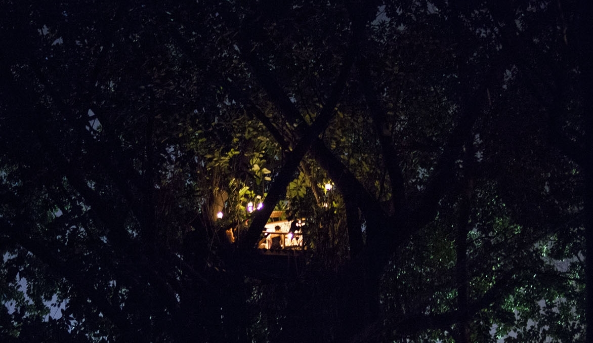 À meia-noite, no topo de uma  árvore,  de frente pro Tietê