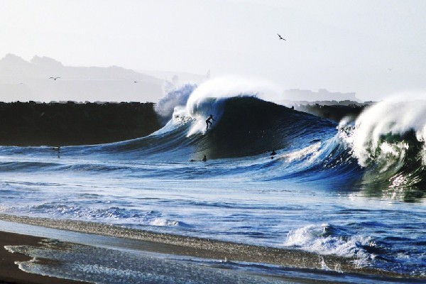 Melhores de 2012 da Surfing Magazine