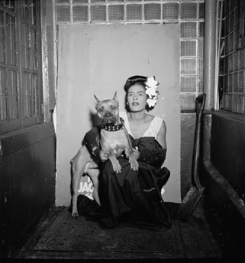 Série Artists and Animals (Billie Holliday e seu Boxer, Mister)