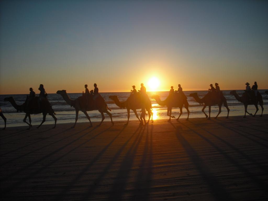 Camelos na Praia
