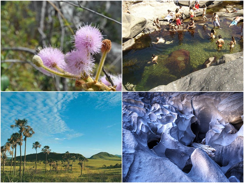 Chapada dos Veadeiros - GO