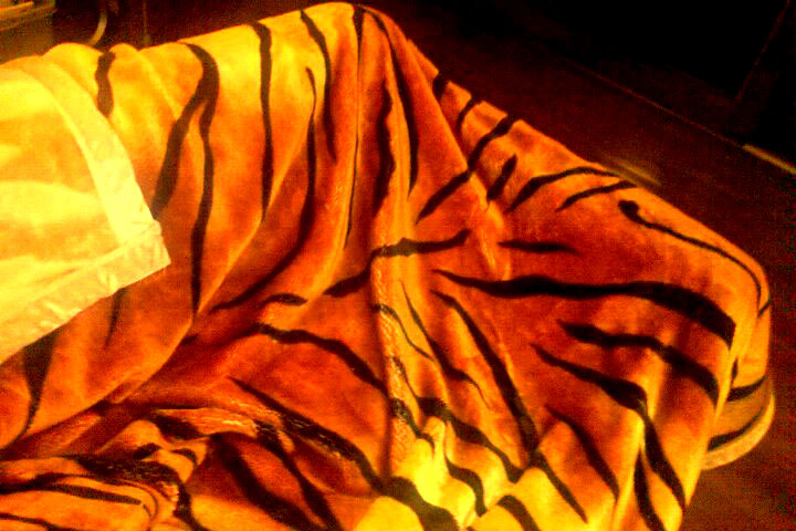 O cobertor de tigre É feito de um tecido sintético super quente. Tem dois lados, um com a pele do bicho e o outro com um tigre em um cenário de juncos. É chinês, mas comprei no Paraguai. Chega, né?