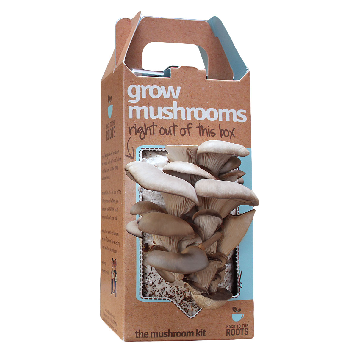 Kit Cogumelos - Uma excelente indicação ao amigo ecohipster. Em vez de plantas, coisa tão popular e banal, dê a ele essa caixa de fungos. Com o tempo florescem belos cogumelos que podem ser ingeridos depois. Talvez não faça bem algum ao meio ambiente, mas ao menos serve para o jantar.