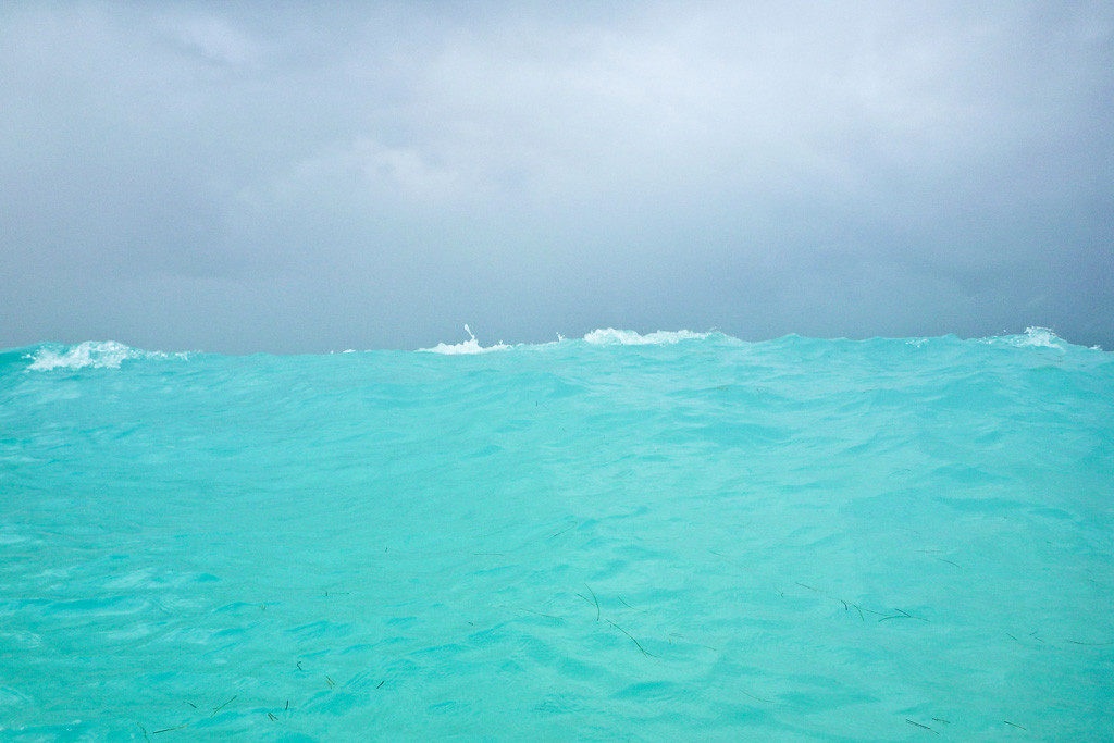 Anguilla Wave