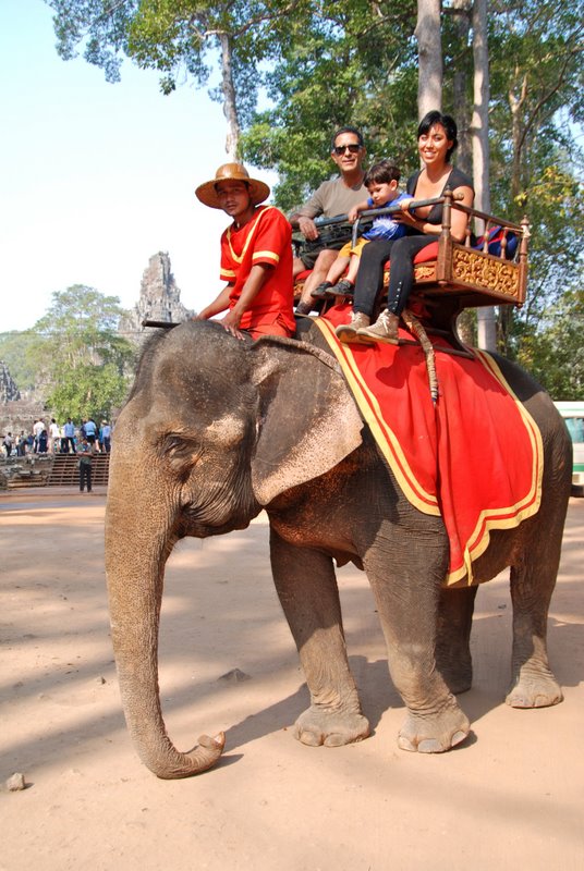 De elefante no Cambodja