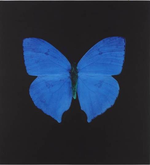 Damien Hirst, na SP Arte