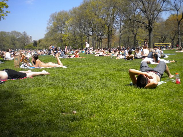Sabadão de sol no Central Park