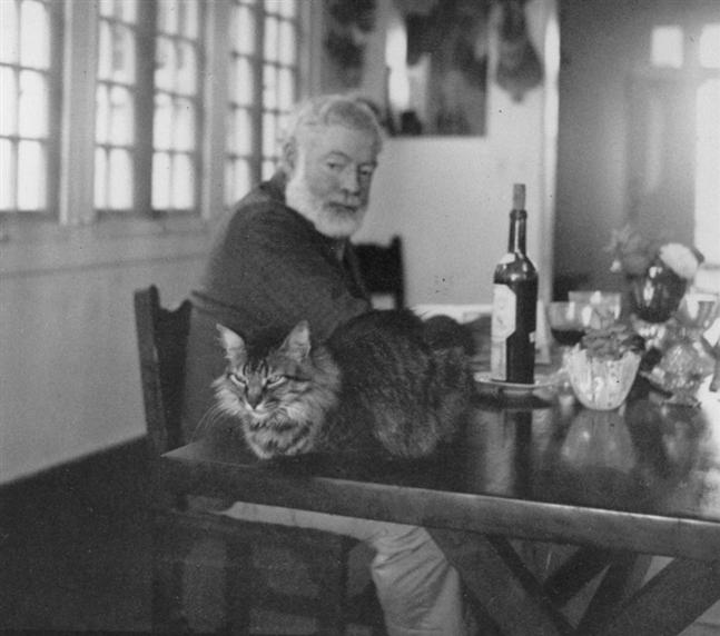 Ernest Hemingway (O velho e o Mar) - Minha mira é colocar no papel o que eu vejo e o que eu sinto da melhor e mais simples maneira possível