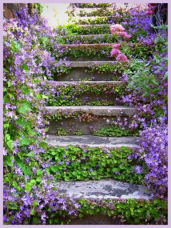 Ou então você pode plantar apenas na lateral da escada. Dependendo do tipo de vegetação escolhida, ela pode invadir os degraus e causar um efeito como esse da foto. Lindo, né?!