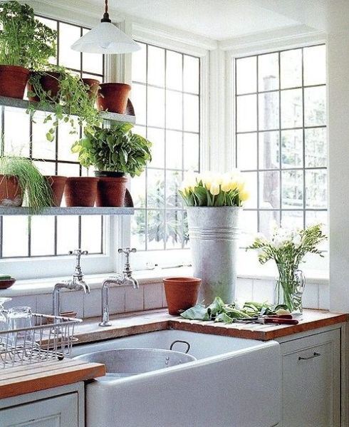 Plantas na cozinha são definitivamente uma boa idéia. Podem ser ervas como tomilho, alecrim e manjericão ou qualquer outra que você quiser e bem entender