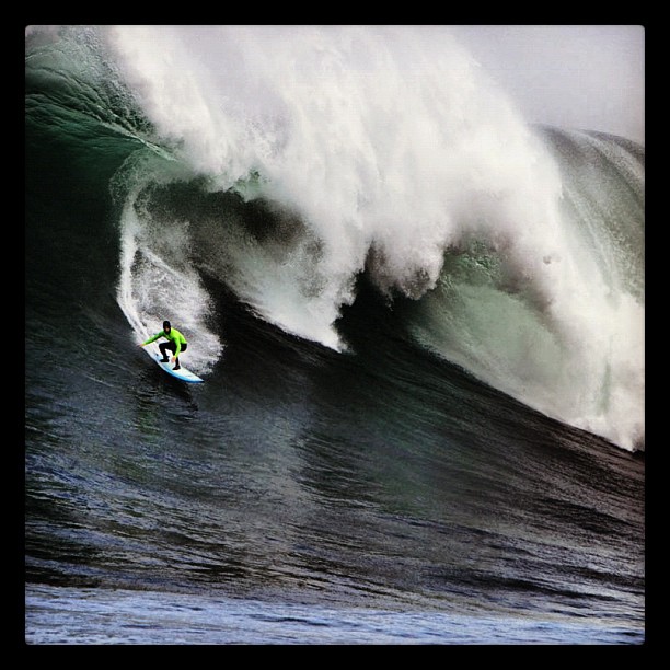 Jeffreys Bay, África do Sul (@bryansmilk)