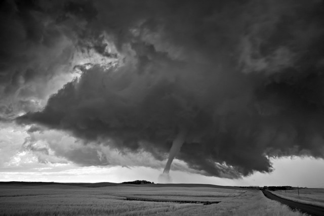 Mitch Dobrowner