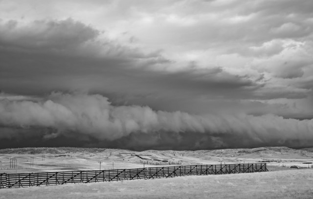 Mitch Dobrowner