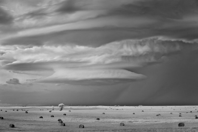 Mitch Dobrowner