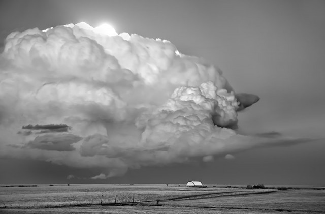 Mitch Dobrowner