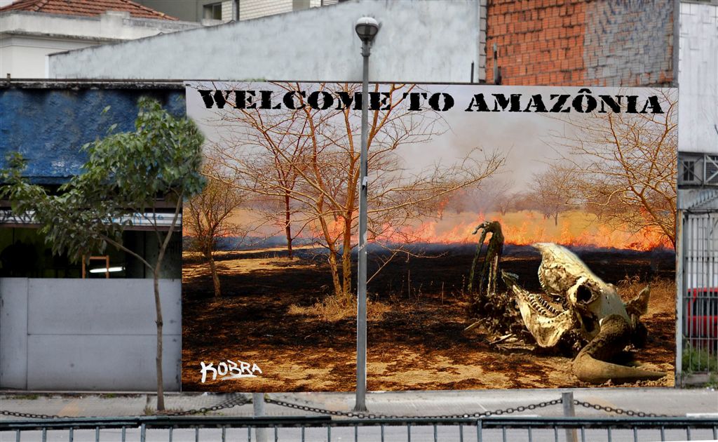 Welcome to Amazonia