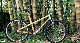 O bamba do bambu
