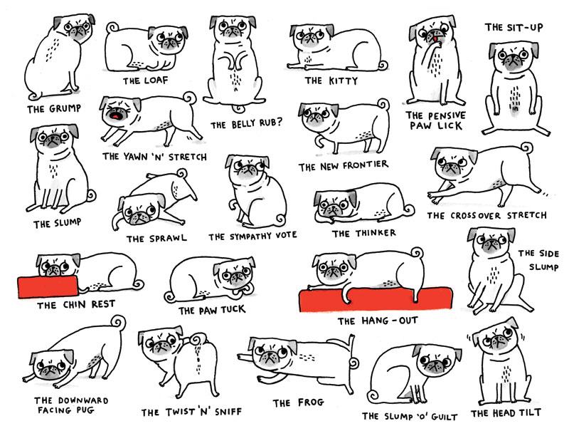 Pugs, not drugs