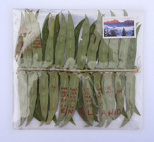 Mail Art, por Riitta Ikonen