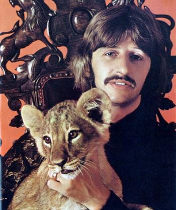 Não é bem um gato mas só pro Ringo não ficar de fora ;-)