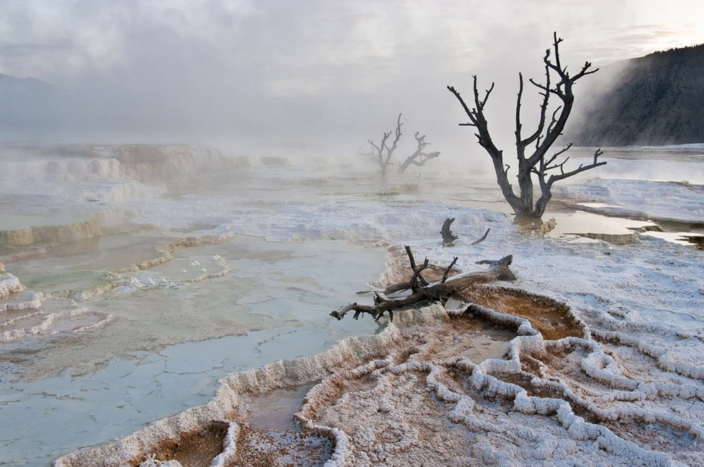 Vapor das Mammoth Hot Springs