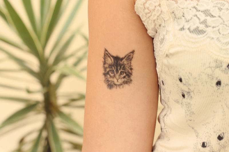 Tatuagem temporária de gatinho, R$ 9,90