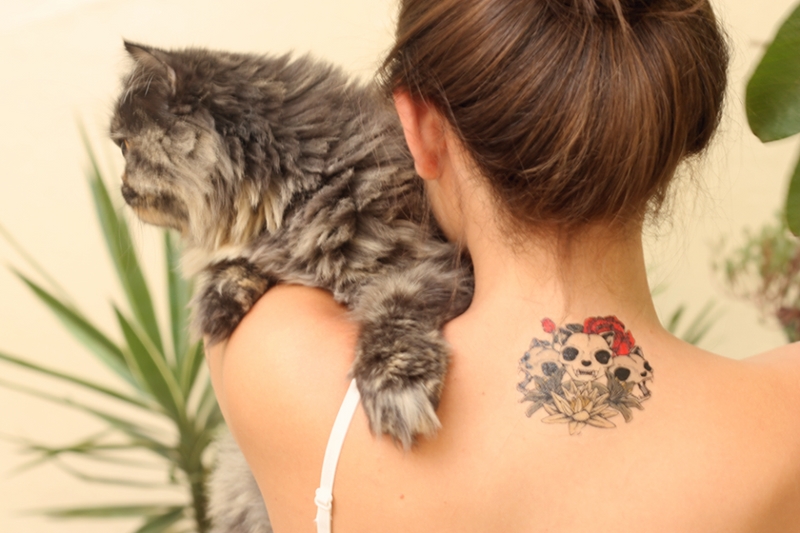 Tatuagens temporárias de gatinho, R$ 9,90