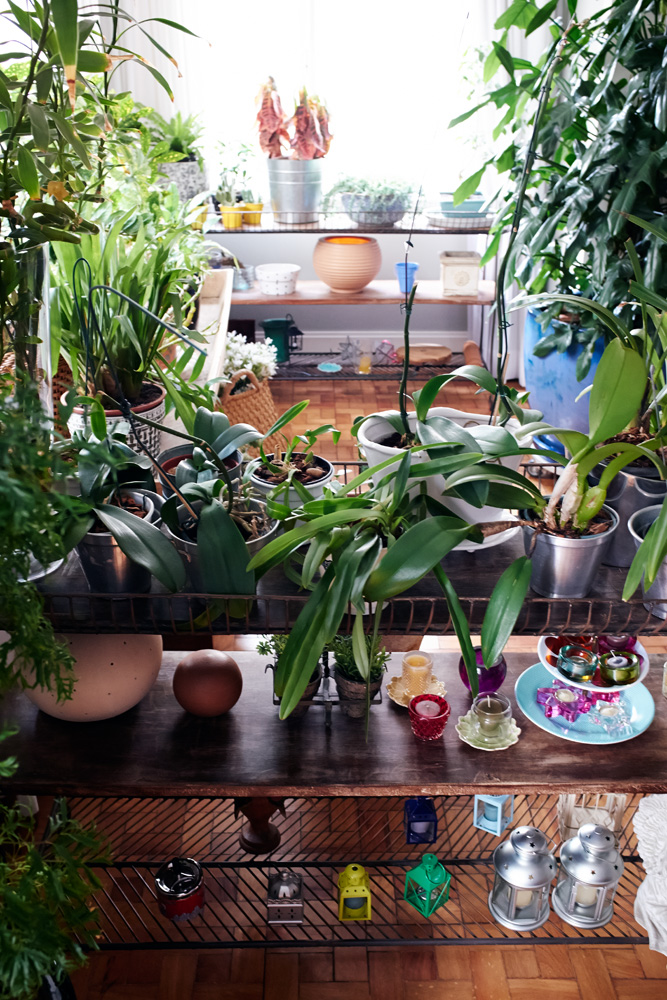 Verde: O aparador com plantas é um mimo de Chris. “Gosto muito de ficar cuidando, podando, trocando as plantas de vaso”, conta