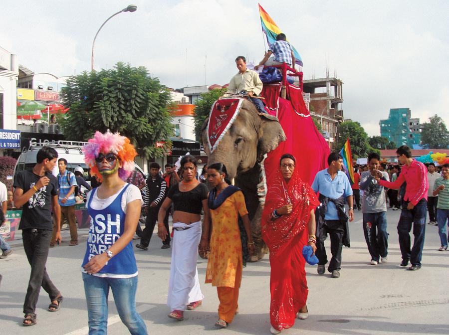 Elefante carrega bandeira nas cores do arco-íris