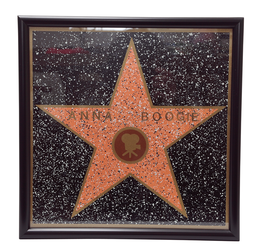 16. Quadro da calçada da fama de Hollywood “Vem com letrinhas para colocar seu nome. Superkistch.”