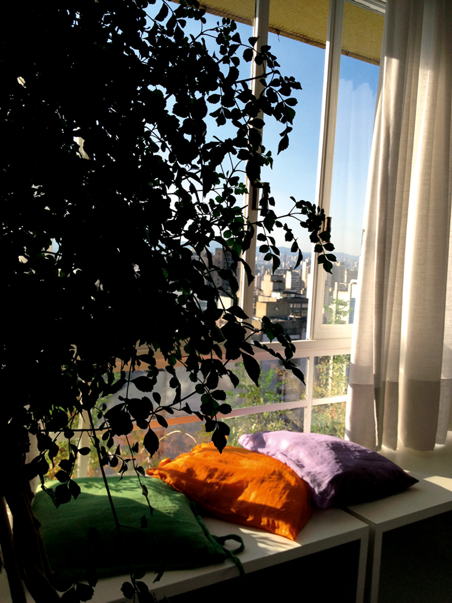 10h40 - Também gosto de aproveitar o sol da manhã na janela da sala.”