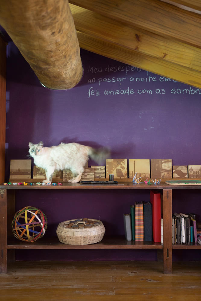 Roxo - No quarto, a gata Maitê anda pelos azulejos com fotos. Gisele começou este ano a fazer a técnica de impressão em cerâmica