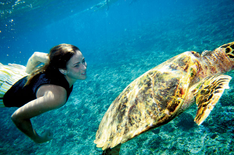 Letícia com a tartaruga que encontravam todo dia enquanto pegavam onda