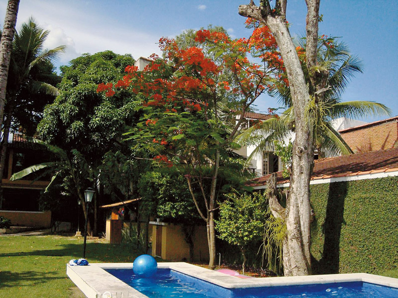 9h “Adoro relaxar no jardim da minha casa. Cuido dos meus bichos, vou à piscina, estudo textos durante um banho de sol. Moro em uma ilha próxima à Barra da Tijuca. Para levar meu filho na escola, só de lancha.”