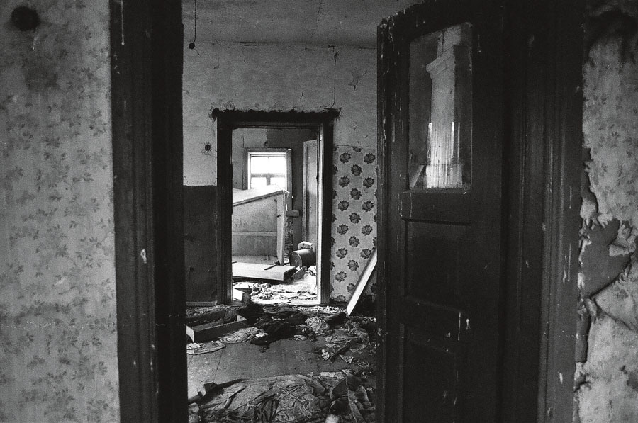 Retratos de Chernobyl: para “fotografar” a radioatividade, Alice adotou as “autorradiografias”, filmes de 30 x 40 centímetros que registram a contaminação do ambiente após longo tempo de exposição