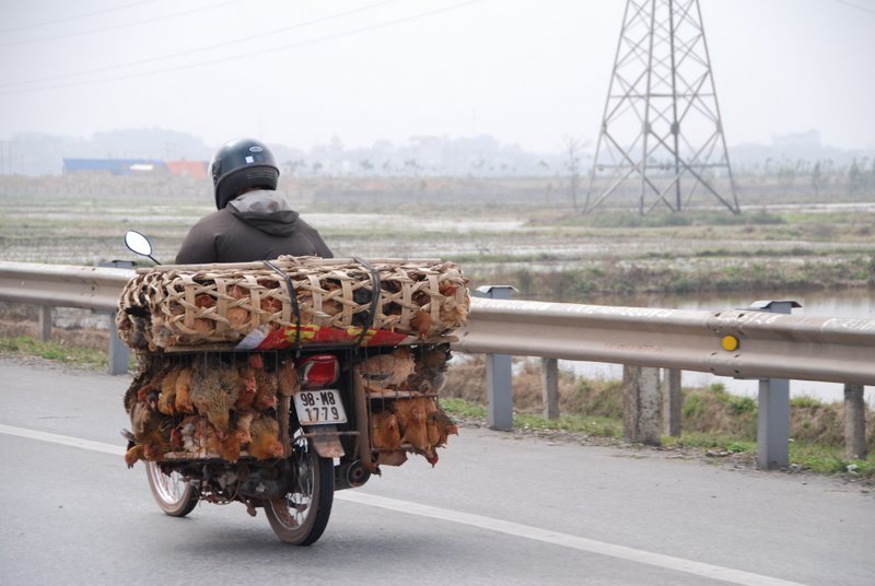 Motocicleta em Hoi An, no Vietnã