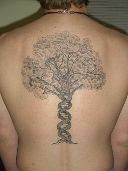 Árvore de DNA (genética)