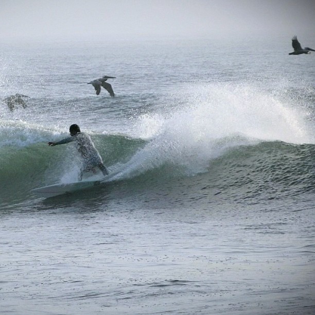 Trestles, EUA (@magicseaweed)