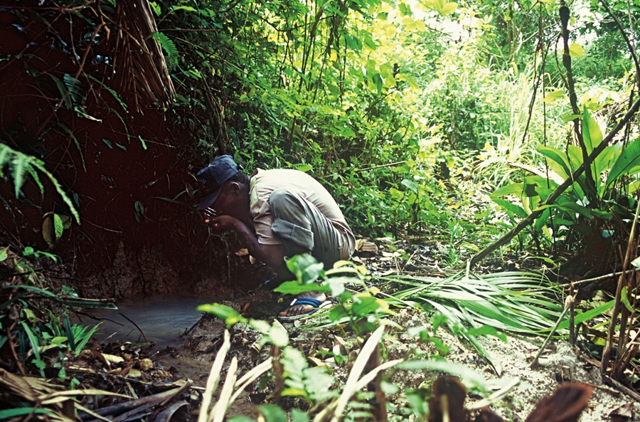 Cenas do Pará: trabalhador bebe água imprópria