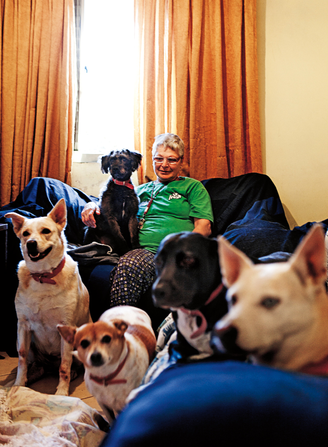 Neide e seus cachorros em seu apartamento de 30 m2 na Cohab Itaquera. Por mês, a aposentada gasta mais de metade de sua pensão com seus animais