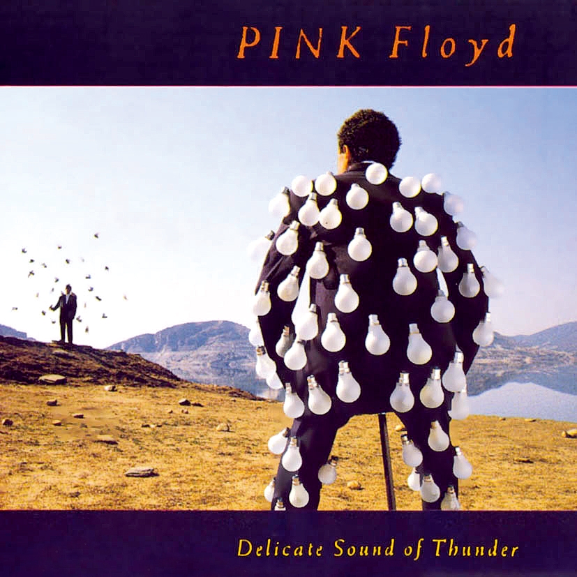 Apesar de bem executado ao vivo, Delicate sound of thunder, de 1988, não passa de um esforço para preencher o buraco nostálgico que Roger Waters deixou em seus fãs ao sair do Pink Floyd
