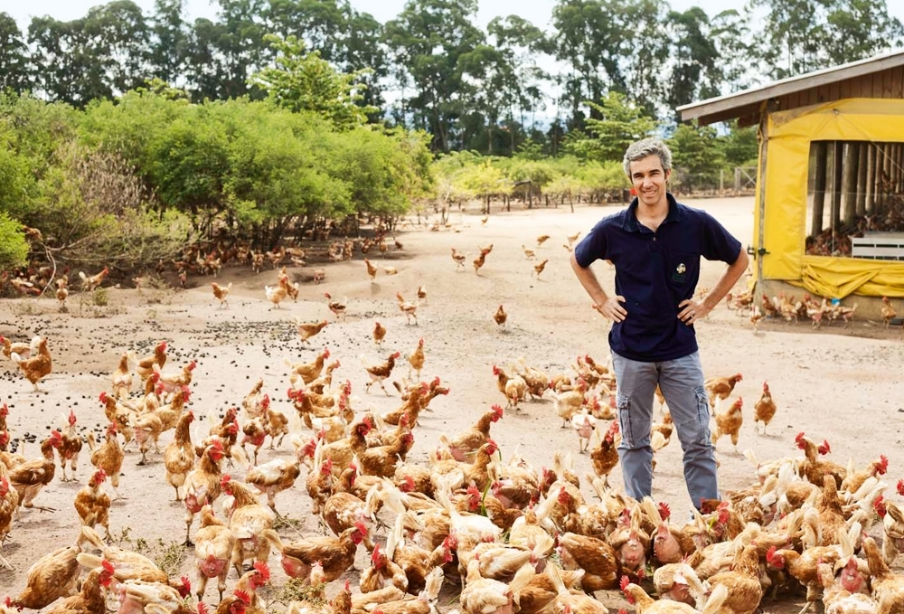 Pedro entre as galinhas da fazenda