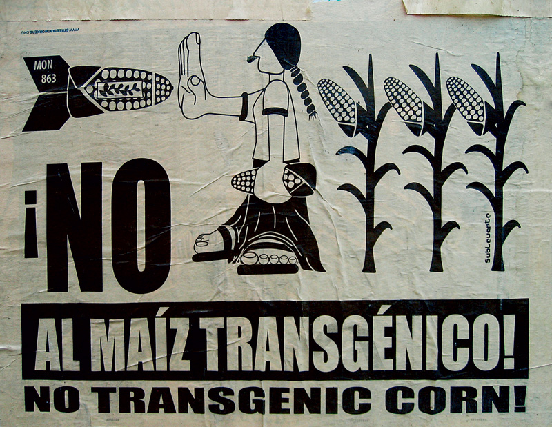 Cartaz do movimento mexicano para proteger as variedades naturais do milho