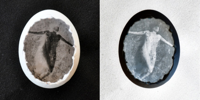 Negativo (esq) e resultado final (direita) da foto na câmera pinhole de ovo