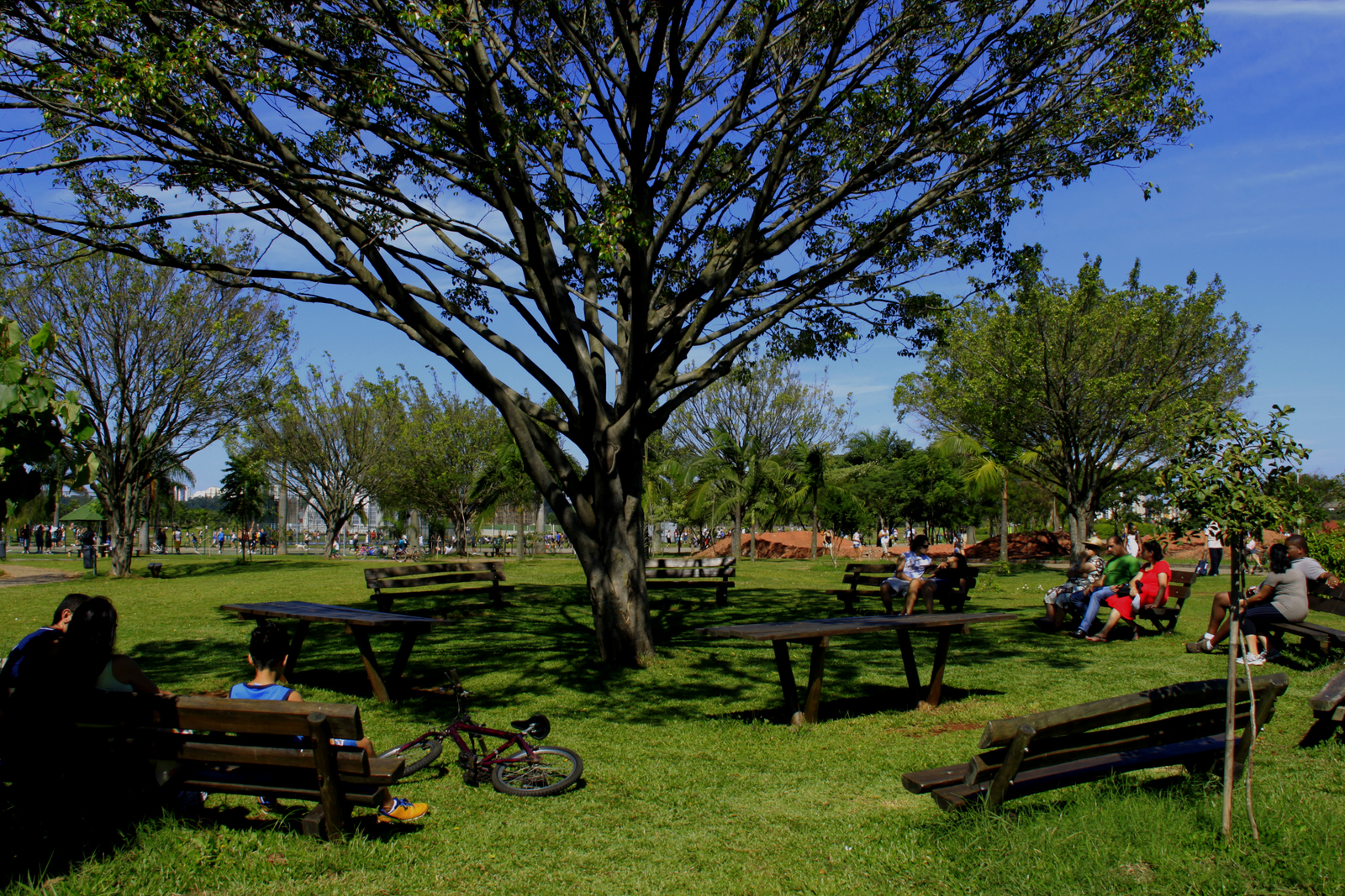 Livro de rua: Todo último domingo do mês, no Parque Villa Lobos, livros são espalhados em lugares estratégicos de mais movimentação para que as pessoas leiam, e levem pra casa quando quiserem. Esses livros geralmente são de doação, e se você quiser doar é só entregar para a administração do parque todo dia das 8h às 18h. Esse mês acontece no dia 31, a partir das 8h30. Vai lá:  Av. Prof. Fonseca Rodrigues, 1655, Alto de Pinheiros - São Paulo. Tel: (11) 3023-0316