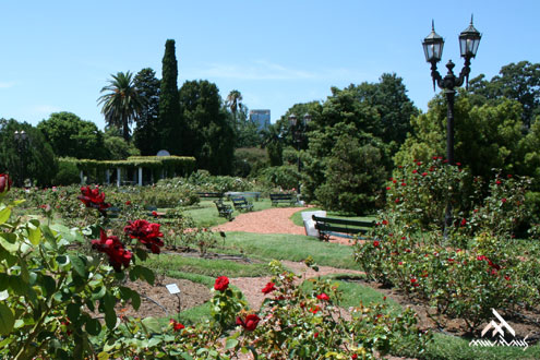 Mais uma primavera chegou!