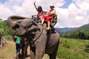 Andando de elefante em Chiang Mai, Tailândia